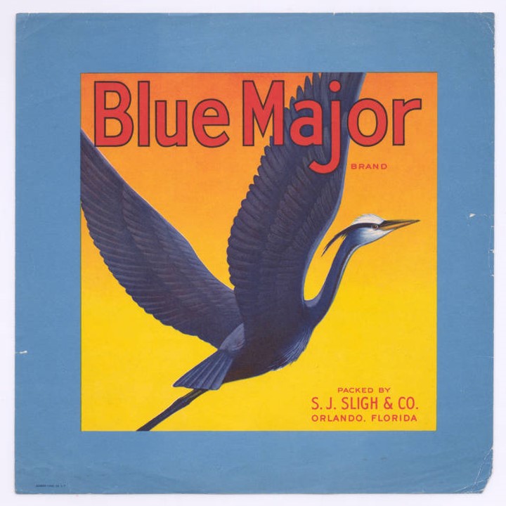 Blue Major