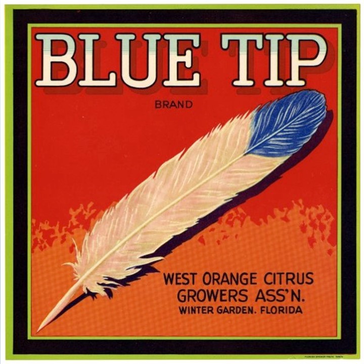 Blue Tip