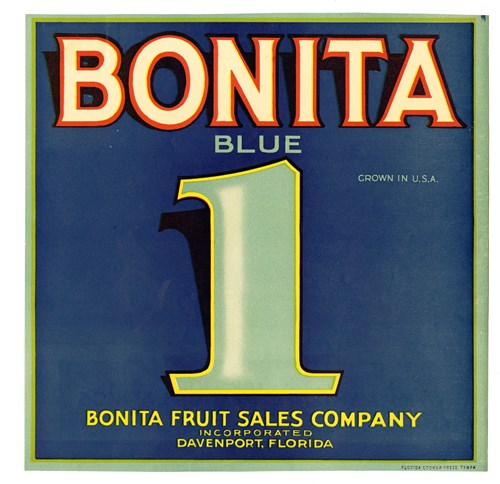 Bonita Bonita