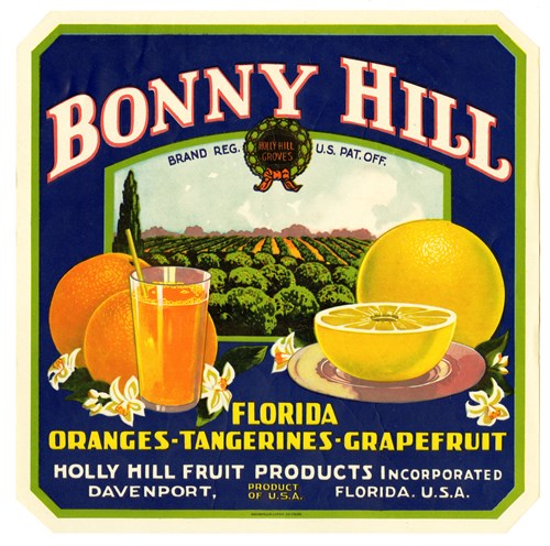 Bonny Hill Bonny Hill