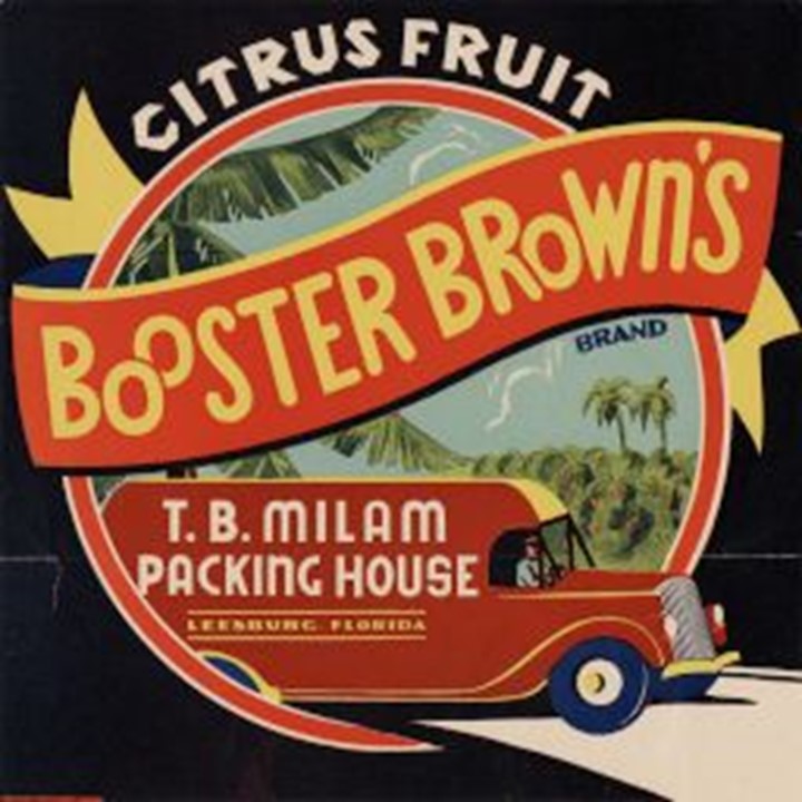 Booster Brown