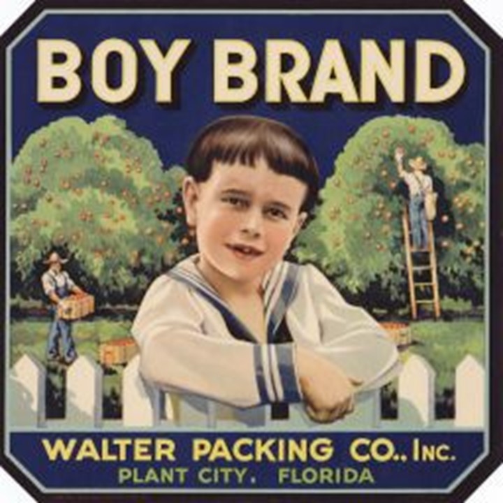 Boy Brand