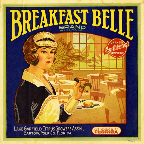 Breakfast Belle Breakfast Belle