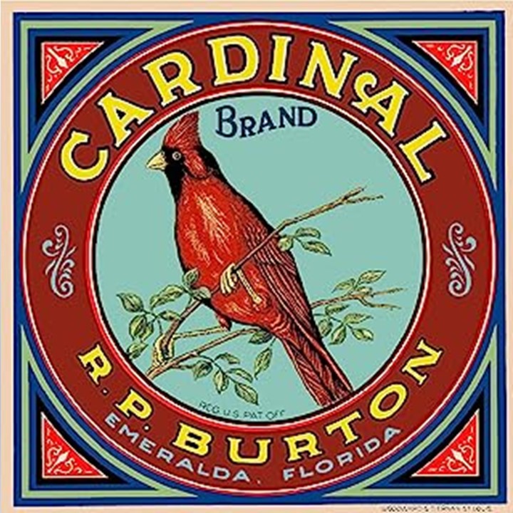 Cardinal Cardinal