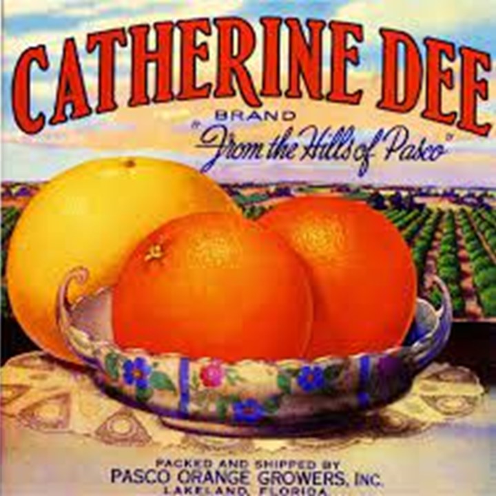 Catherine Dee Catherine Dee
