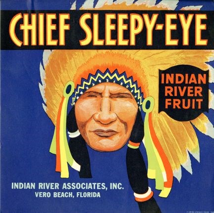 Chief Sleepy Eye
