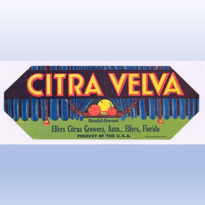 Citra Velva Citra Velva