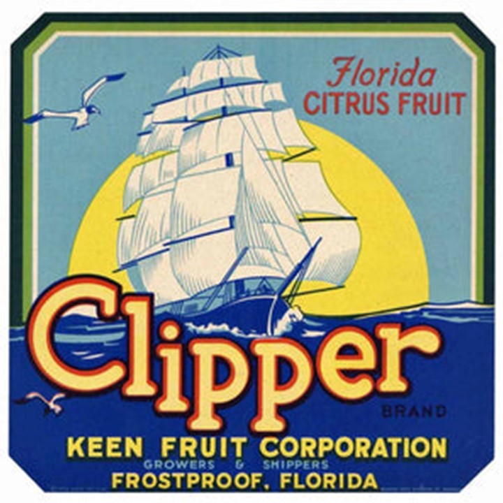 Clipper Clipper