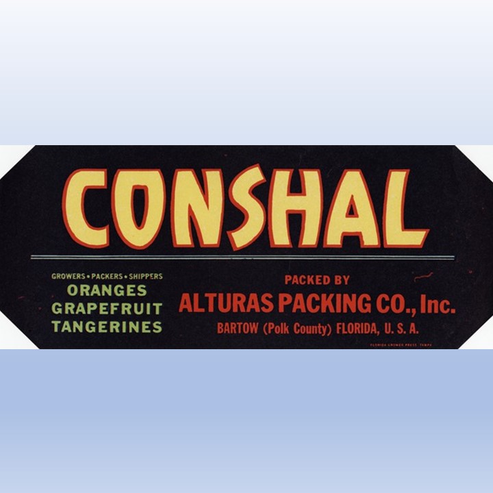 Conshal Conshal