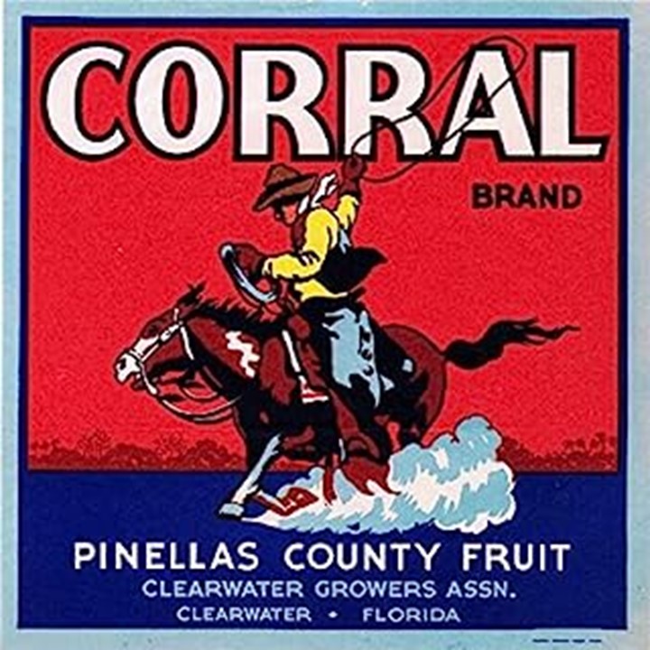 Corral Corral