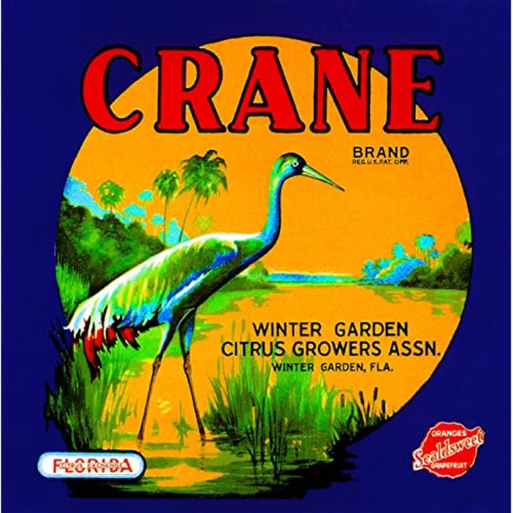 Crane Crane