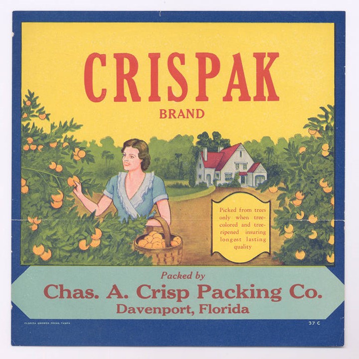 Crispak Crispak
