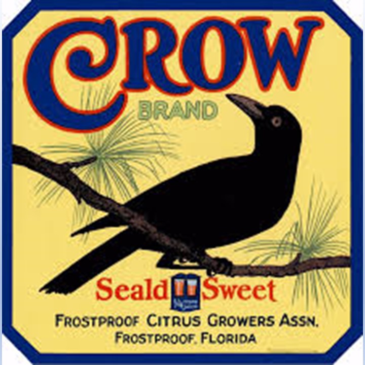 Crow Crow