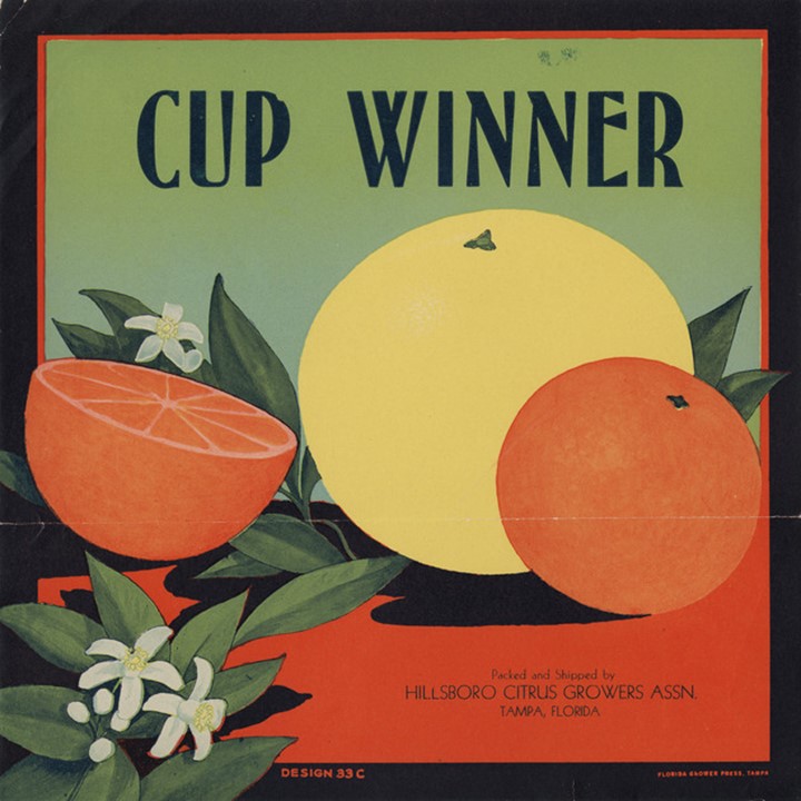 Cup Winner Cup Winner