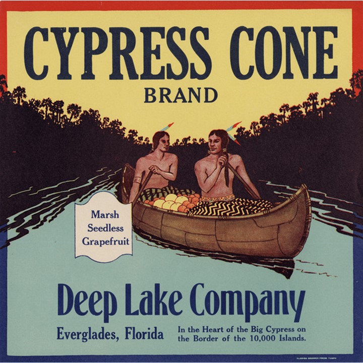 Cypress Cone Cypress Cone