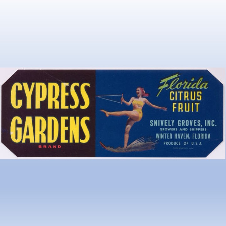 Cypress Gardens2 Cypress Gardens2