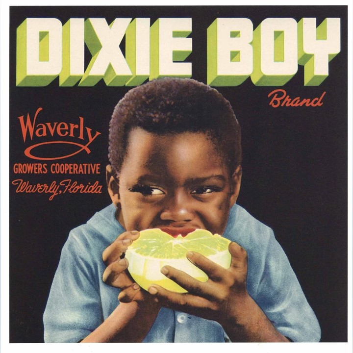 Dixie Boy