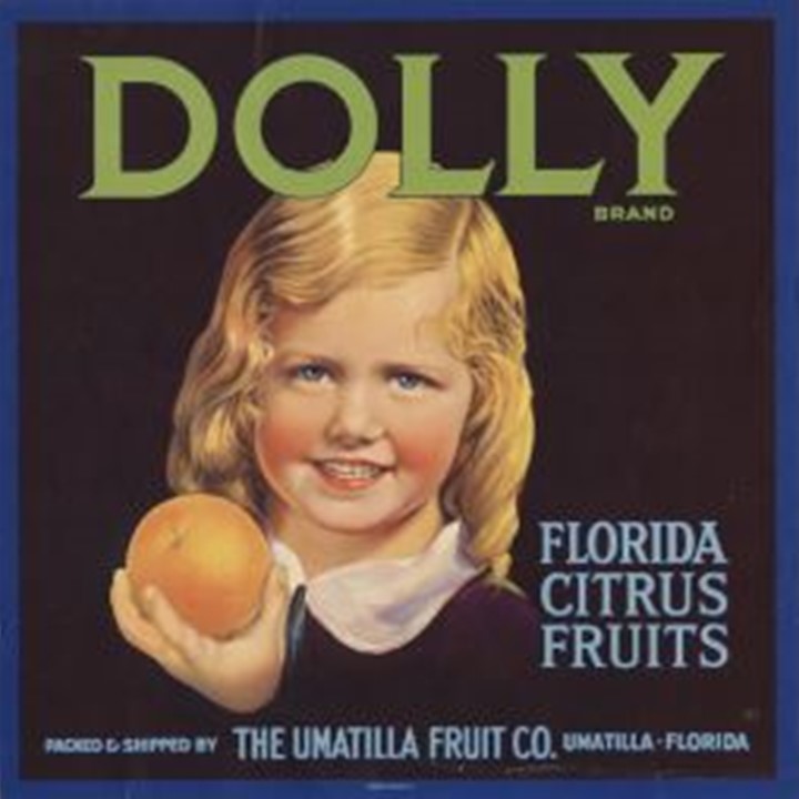 Dolly