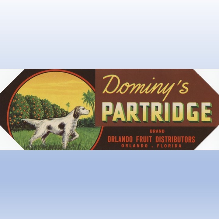 Dominys Partridge