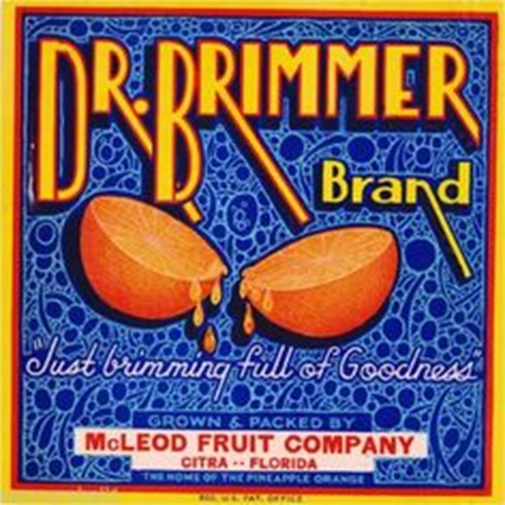 Dr Brimmer