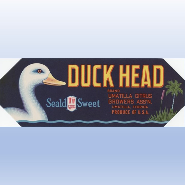 Duckhead