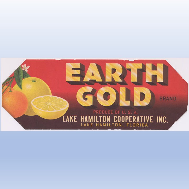Earth Gold Earth Gold
