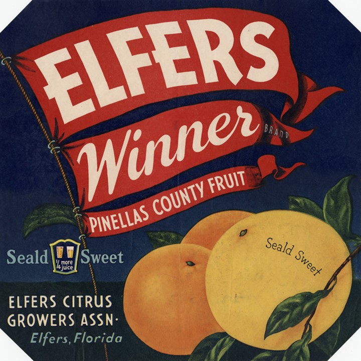 Elfers Winner Elfers Winner