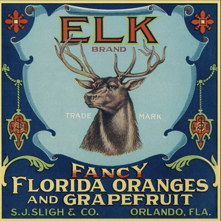 Elk Elk