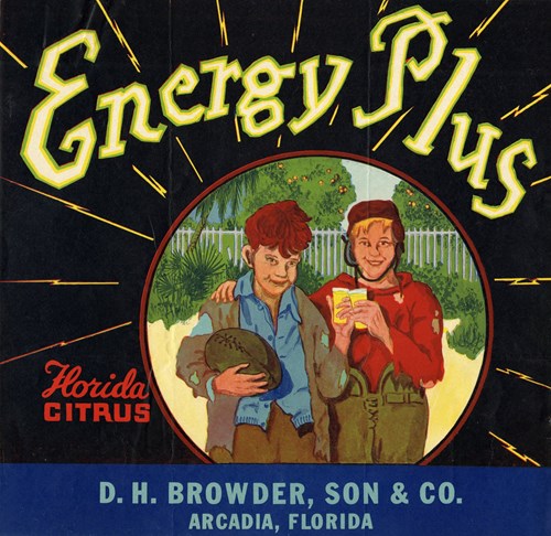Energy Plus Energy Plus