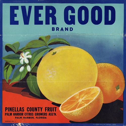 Ever Good Ever Good