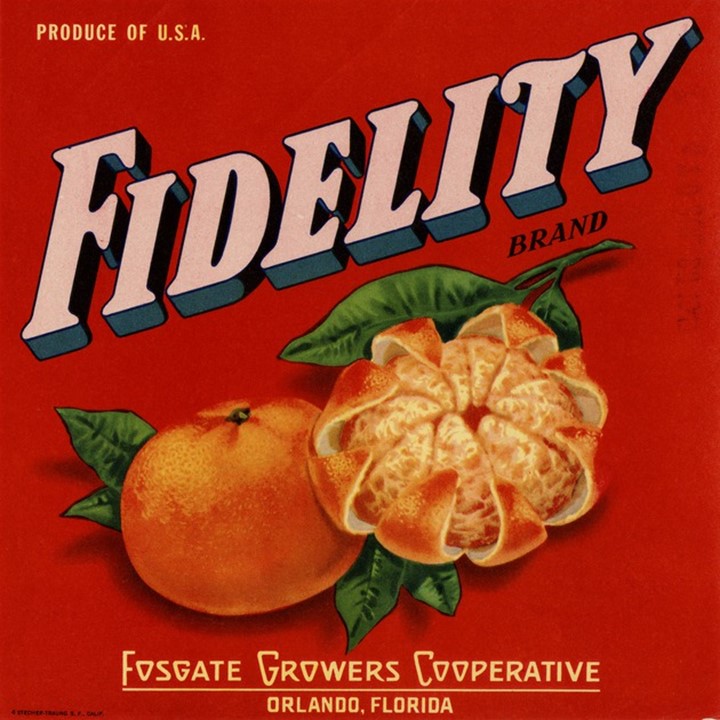 Fidelity