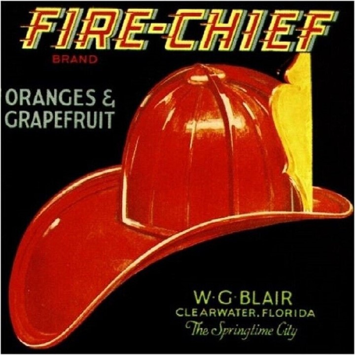 Fire Chief