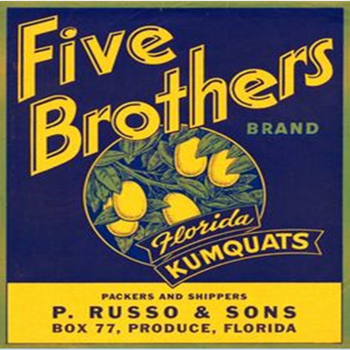Five Brothers