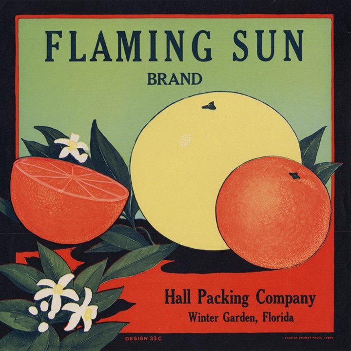 Flaming Sun