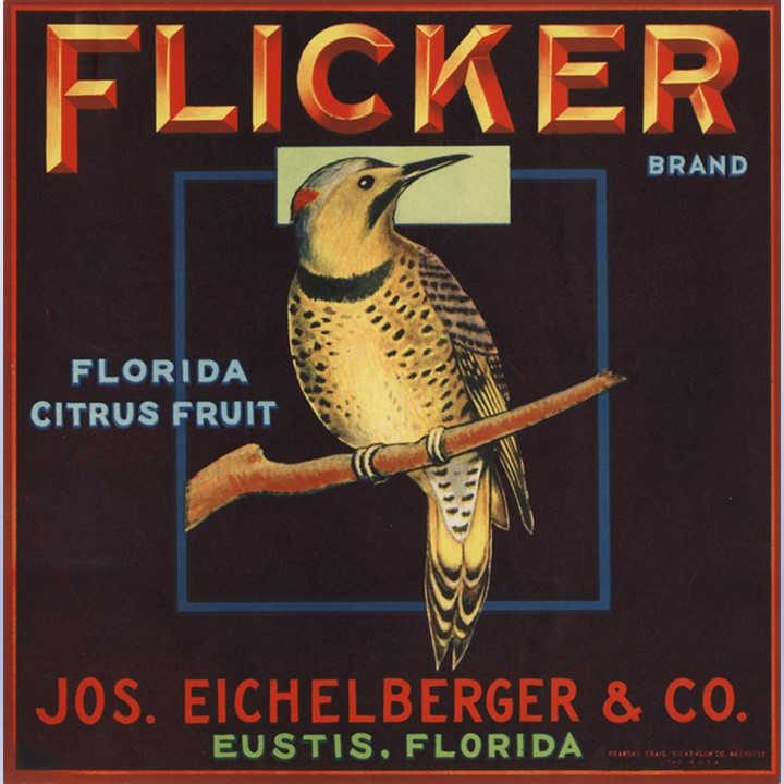 Flicker