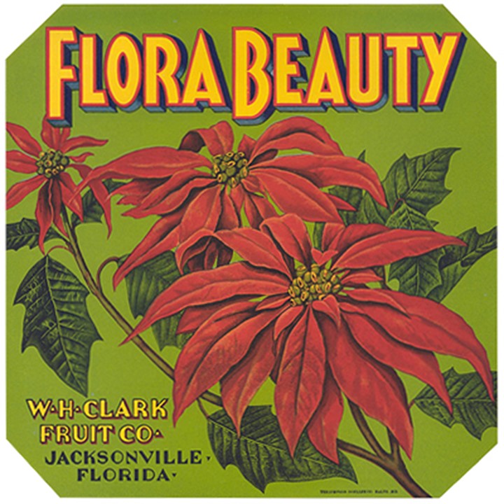 Flora Beauty