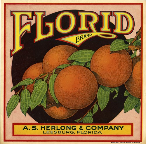 Florid Florid