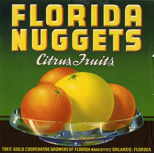 Florida Nuggets Florida Nuggets