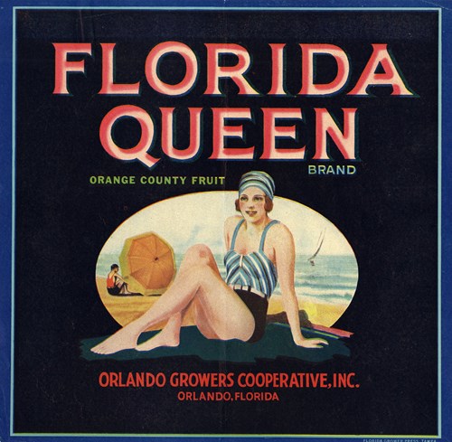 Florida Queen Florida Queen