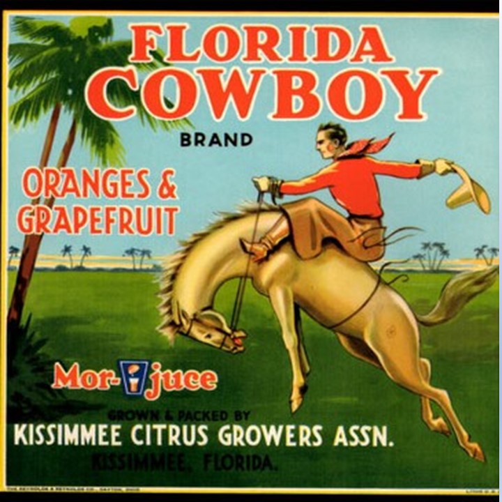Florida Cowboy
