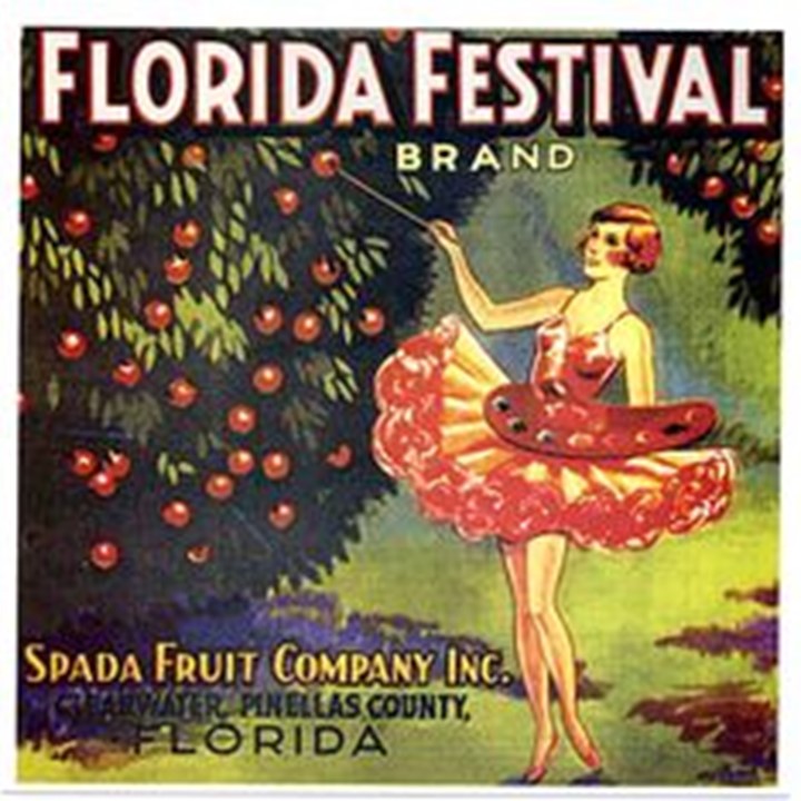 Florida Festival