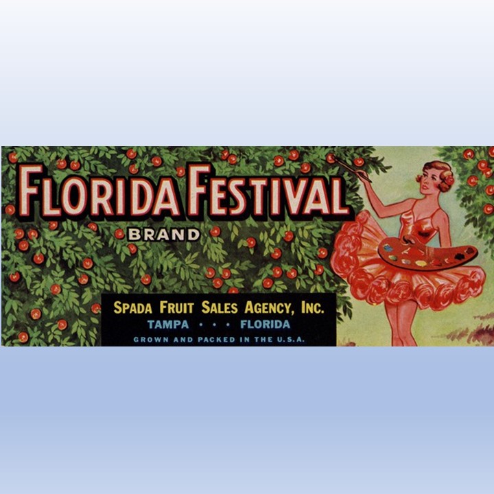Florida Festival2