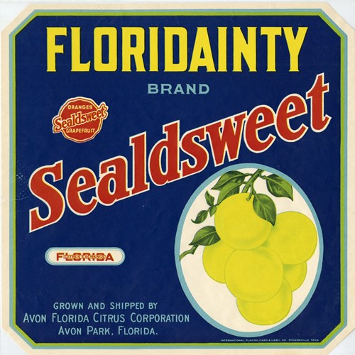 Floridainty Floridainty