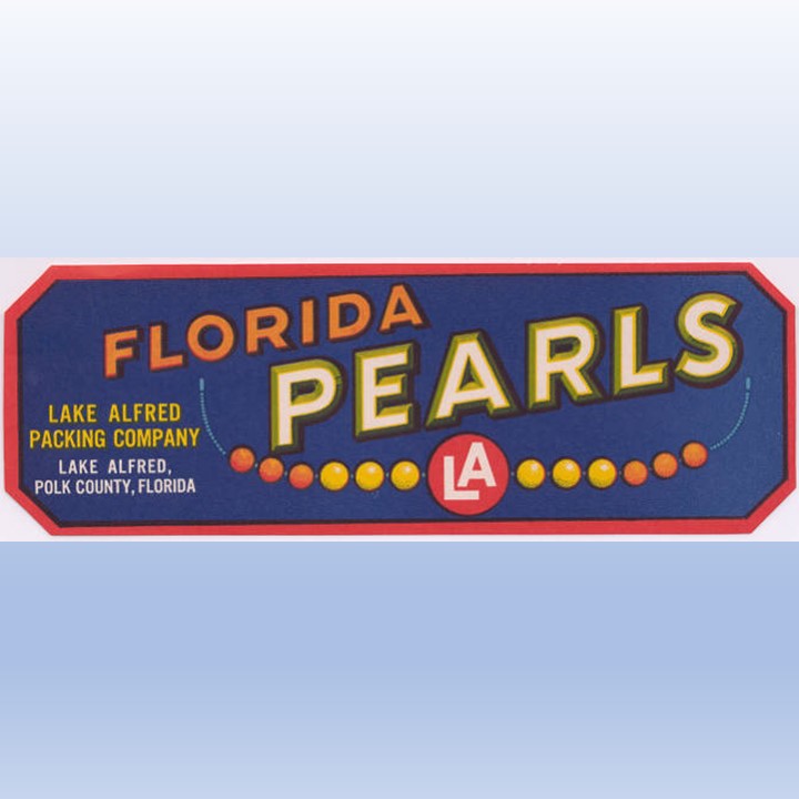Florida Pearls