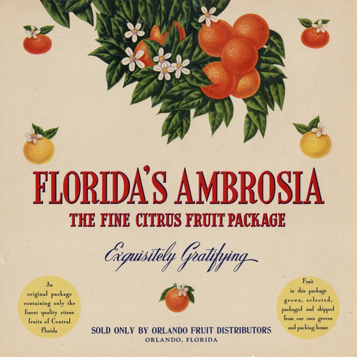 Floridas Ambrosia