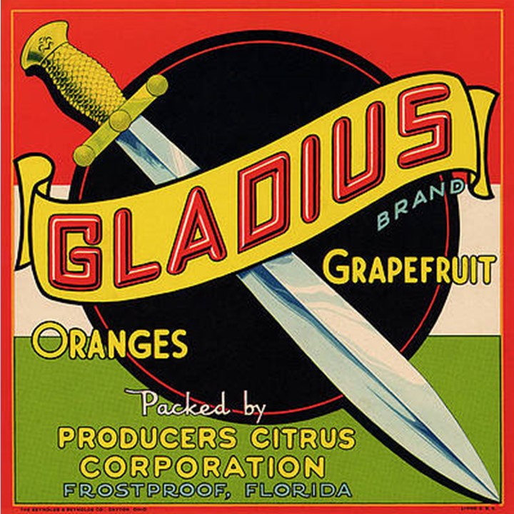 Gladius Gladius