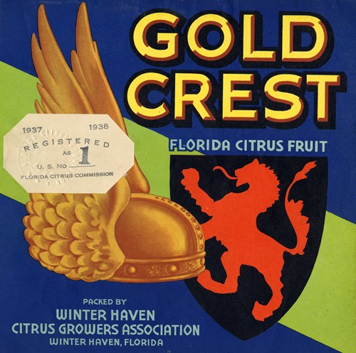 Gold Crest