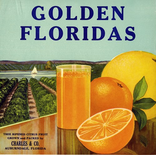 Golden Floridas