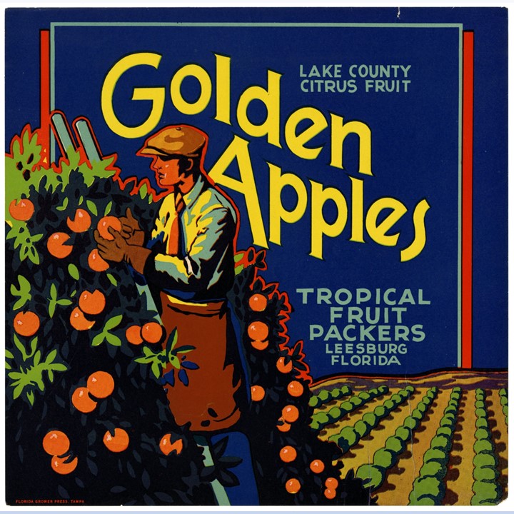 Golden Apples Golden Apples