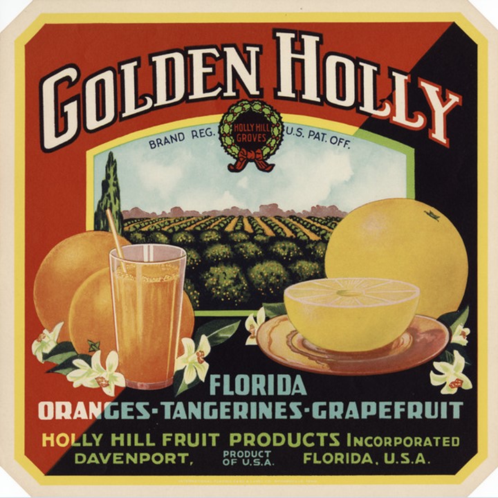 Golden Holly2 Golden Holly2